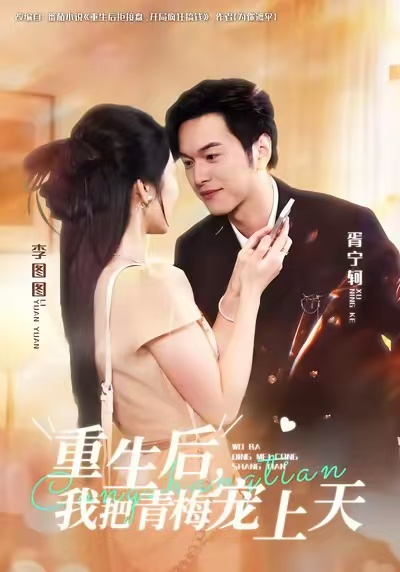 白莲花短剧版