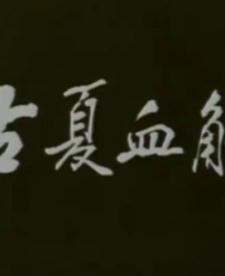 母子若重圆无鬓又何妨