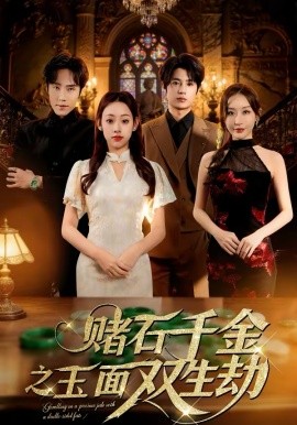 赌石千金之玉面双生劫