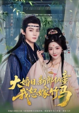 大婚日，新郎纳妾我怒嫁竹马
