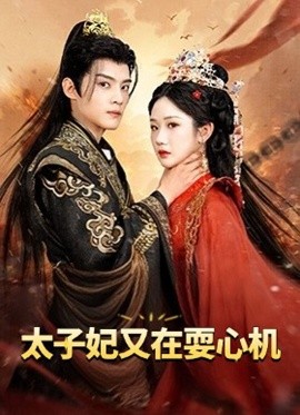 太子妃又在耍心机人家才不是坏女人