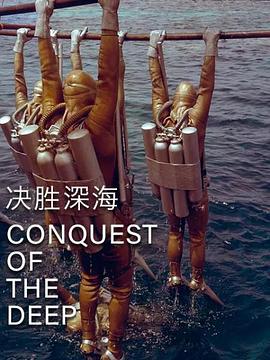 我从不哭泣