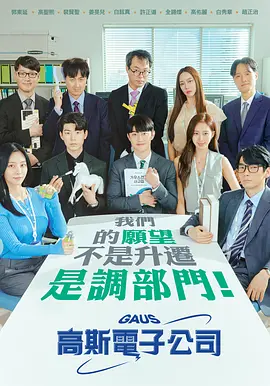 高斯电子公司